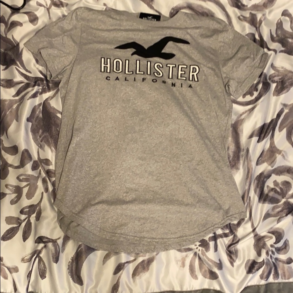 Hollister t